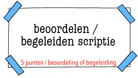 Begeleiden en/of beoordelen van een scriptie