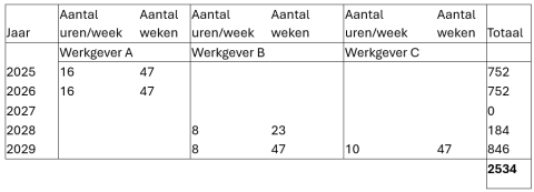 voorbeeld oefentherapeuten 3