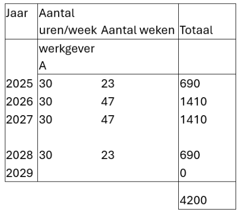 voorbeeld oefentherapeuten 4